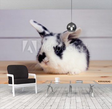Bild på Little rabbit on wooden background